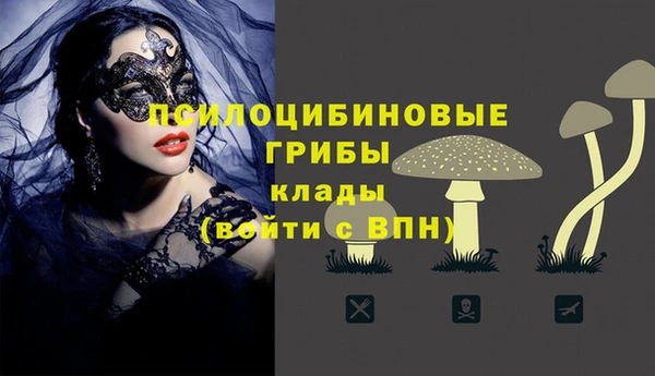 стафф Бугульма