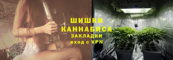 СК Бородино