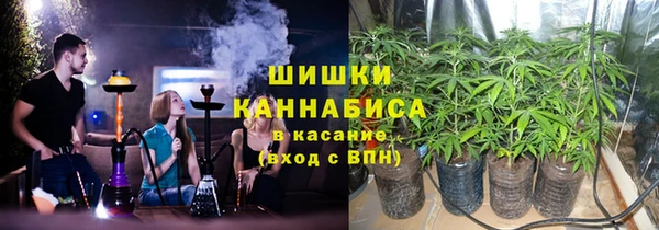 СК Бородино