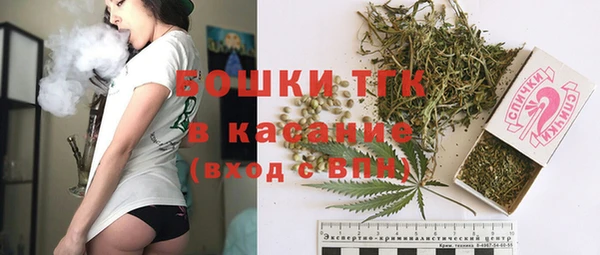 PSILOCYBIN Верея