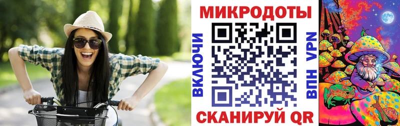 Купить  Малая Вишера  Псилоцибиновые грибы прущие грибы 